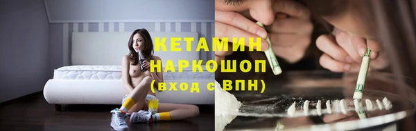 крисы Ельня
