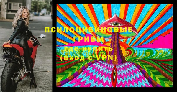 индика Иннополис