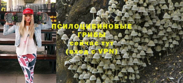 не бодяженный Алзамай